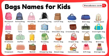 Bags Names for Kids in English with Pictures