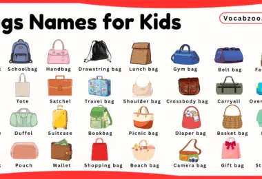 Bags Names for Kids in English with Pictures