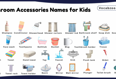 Bathroom Accessories Names for Kids in English with Pictures
