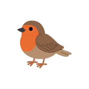 Bird | Forest Things Names for Kids in English
