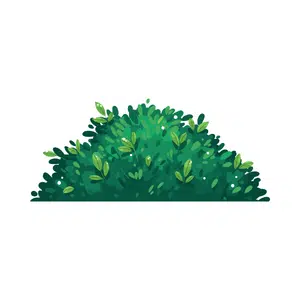 Bush | Forest Things Names for Kids in English