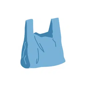 Carry bag