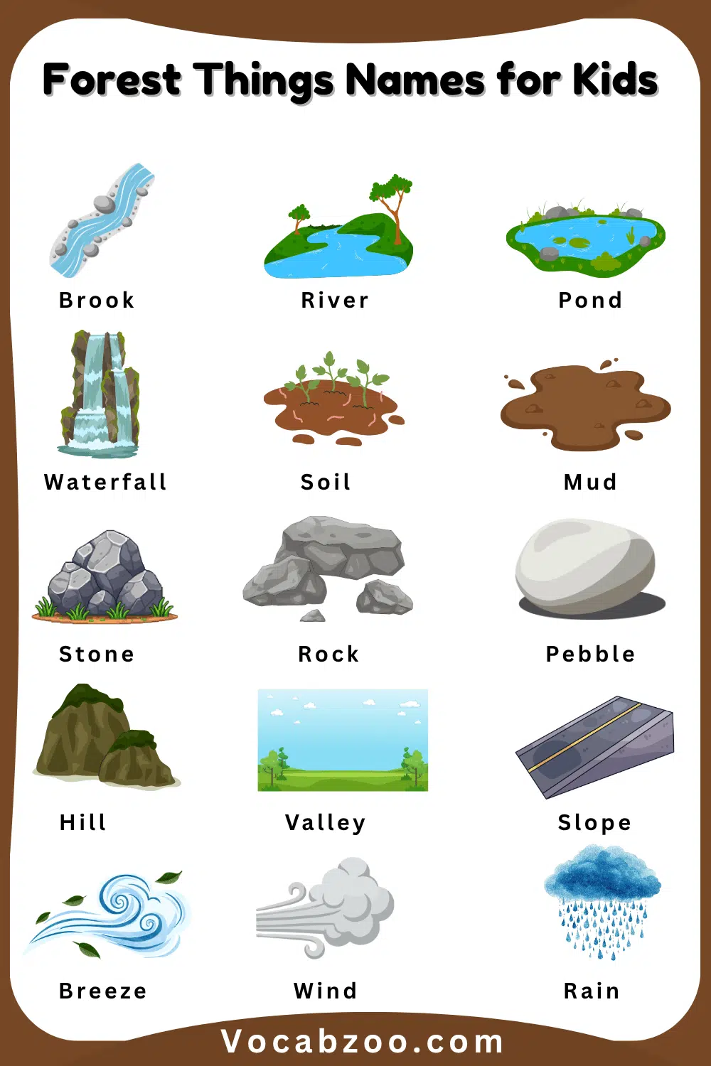 Common Forest Things Names for Kids and Images