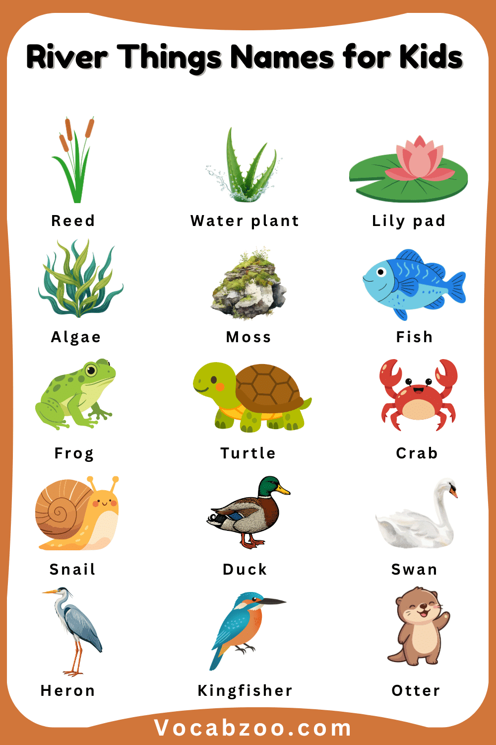 Common River Things Names for Kids and Images
