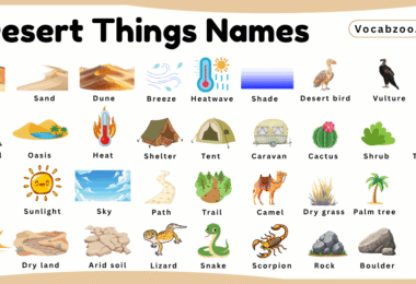 Desert Things Names for Kids in English with Pictures