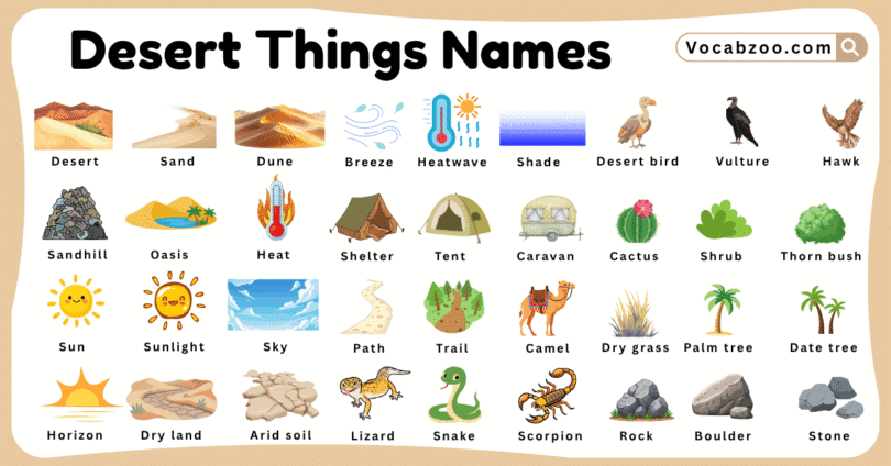 Desert Things Names for Kids in English with Pictures