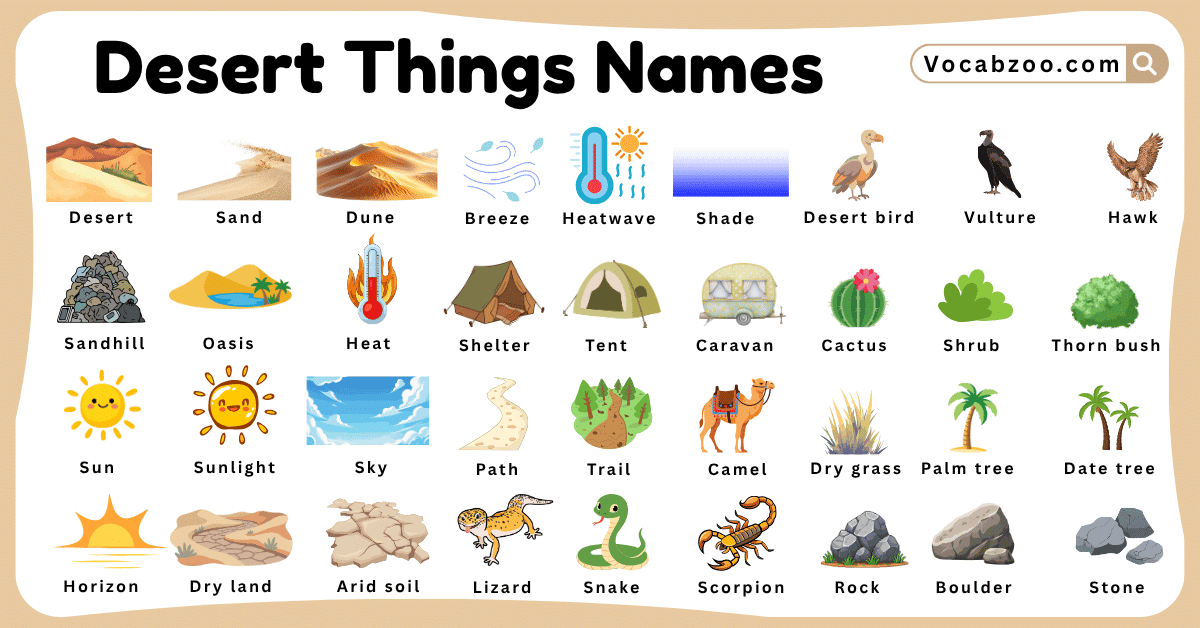 Desert Things Names for Kids in English with Pictures - Vocabzoo