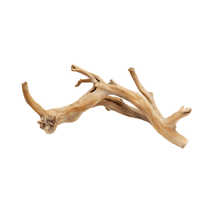 Driftwood