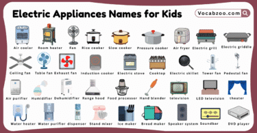 Electric Appliances Names for Kids in English with Pictures