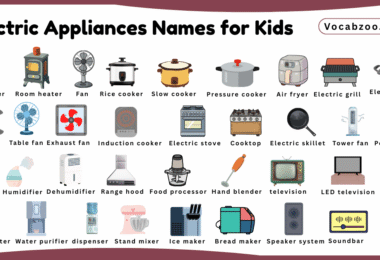 Electric Appliances Names for Kids in English with Pictures