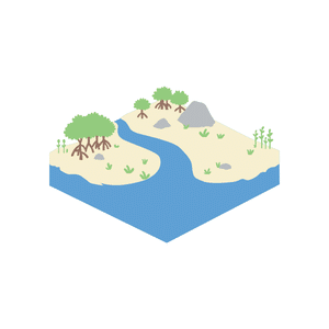 Estuary | River Things Names for Kids in English