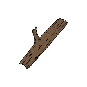 Fallen tree