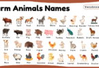 Farm Animals Names for Kids in English with Pictures