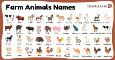 Farm Animals Names for Kids in English with Pictures