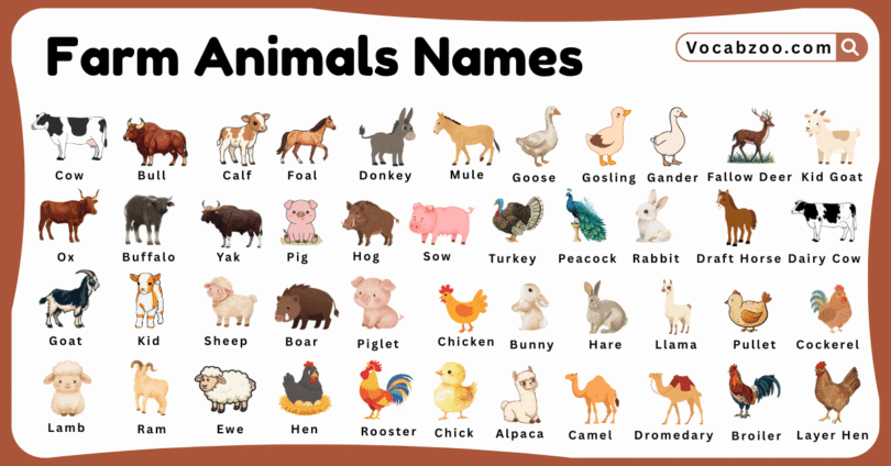 Farm Animals Names for Kids in English with Pictures