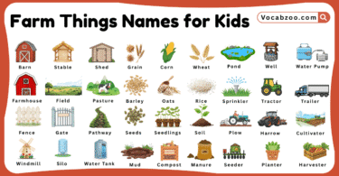 Farm Things Names for Kids in English with Pictures