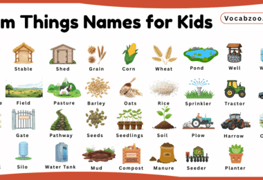 Farm Things Names for Kids in English with Pictures