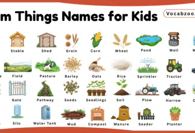 Farm Things Names for Kids in English with Pictures