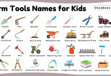 Farm Tools Names for Kids in English with Pictures