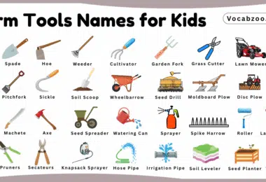 Farm Tools Names for Kids in English with Pictures