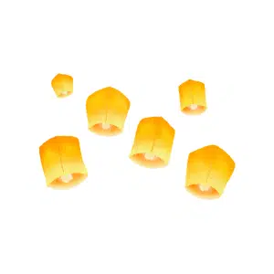 Festival lights | Lighting Items Names for Kids