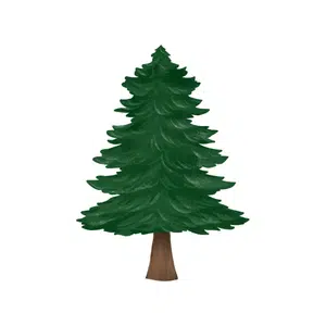Fir tree
