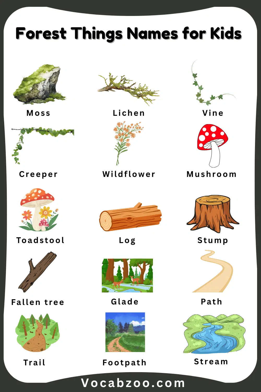 Forest Thing for Child in English with Pictures