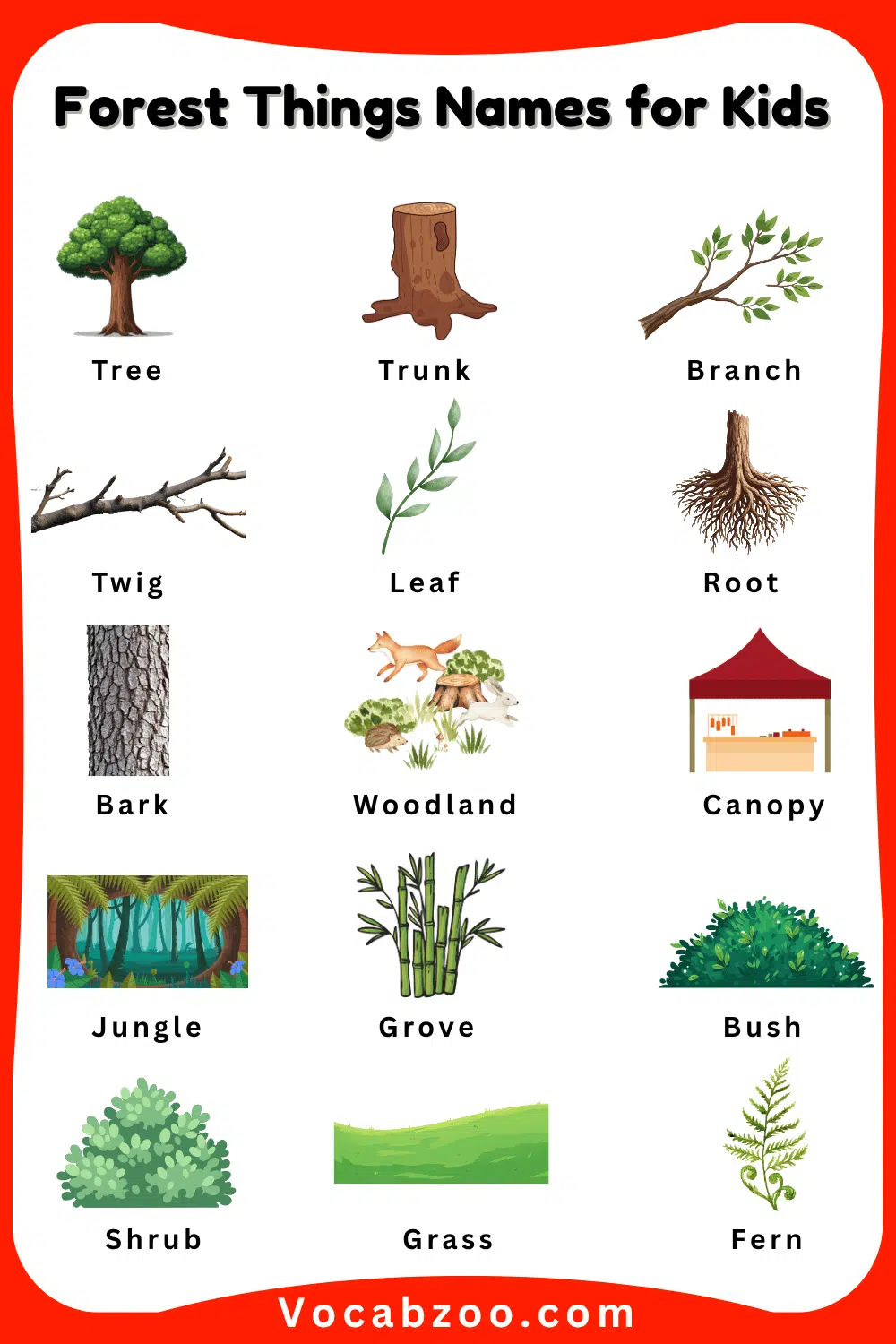 Forest Things Names for Kids in English and Pictures