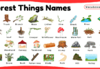 Forest Things Names for Kids in English with Pictures