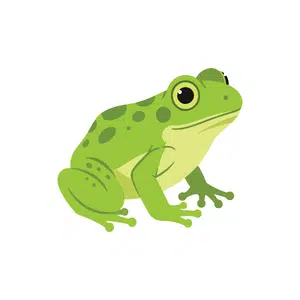 Frog | Forest Things Names for Kids in English