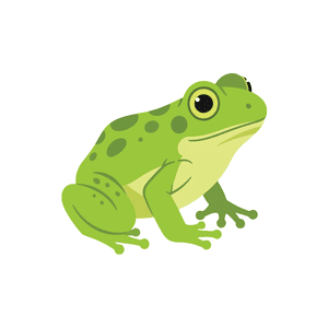 Frog | River Things Names for Kids in English