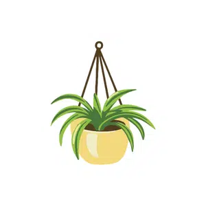Hanging plant