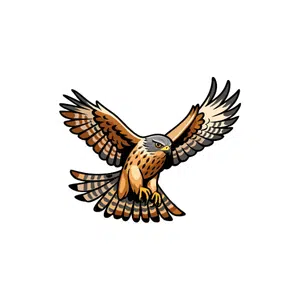 Hawk | Mountain Things Names for Kids in English