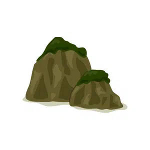 Hill | Forest Things Names for Kids in English