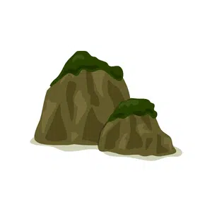 Hill | Mountain Things Names for Kids in English