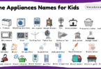 Home Appliances Names for Kids in English with Pictures
