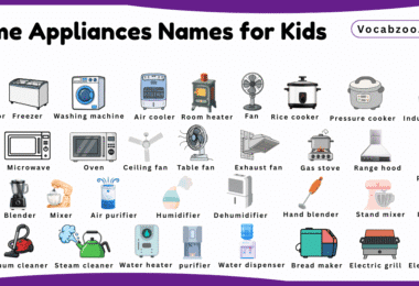 Home Appliances Names for Kids in English with Pictures