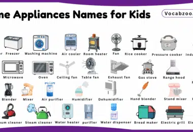 Home Appliances Names for Kids in English with Pictures