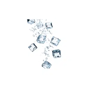 Ice