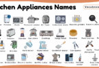 Kitchen Appliances Names for Kids in English with Pictures