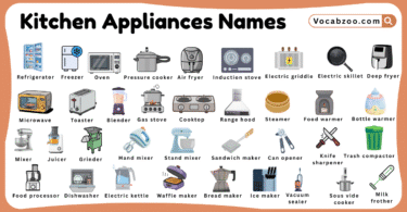 Kitchen Appliances Names for Kids in English with Pictures
