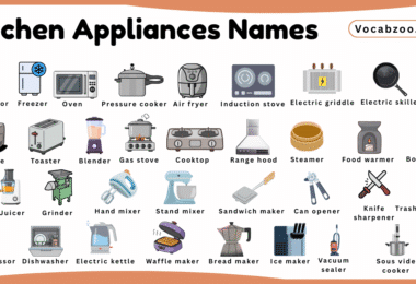 Kitchen Appliances Names for Kids in English with Pictures