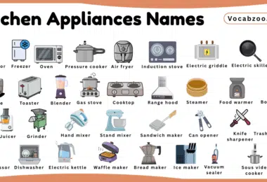 Kitchen Appliances Names for Kids in English with Pictures