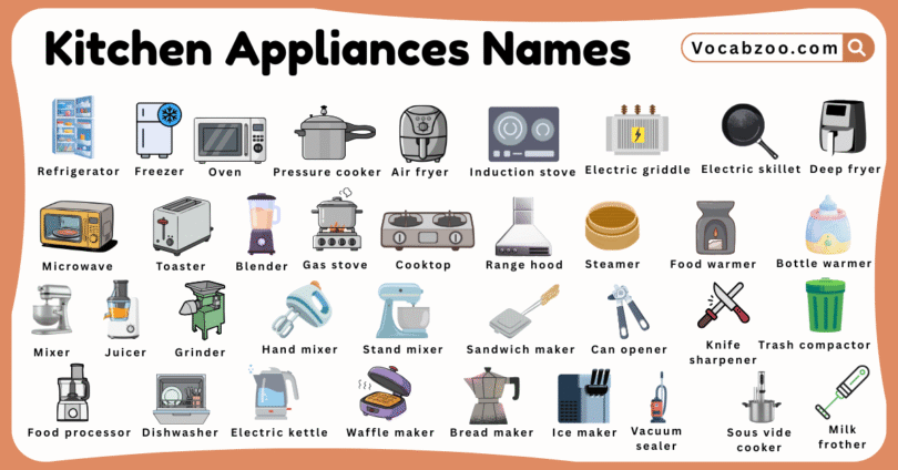 Kitchen Appliances Names for Kids in English with Pictures