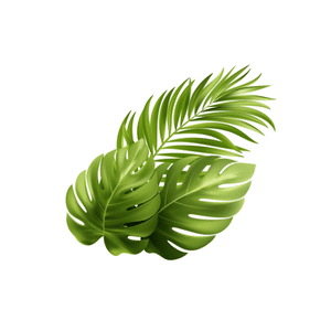 Leaf | River Things Names for Kids in English