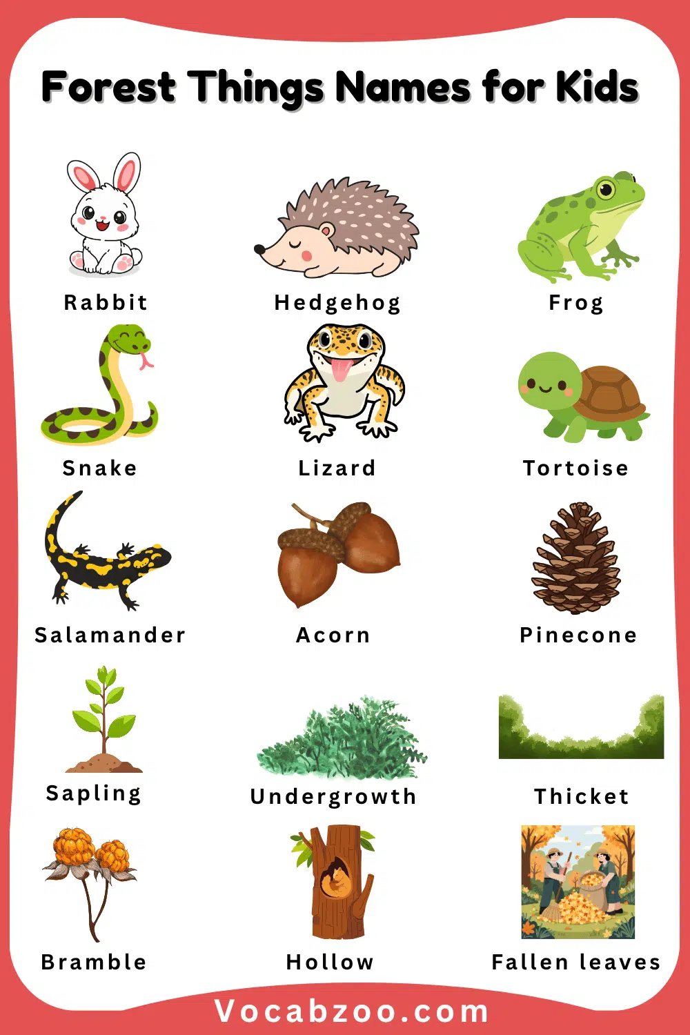 Learn Names of Forest Things for Kids with Pictures