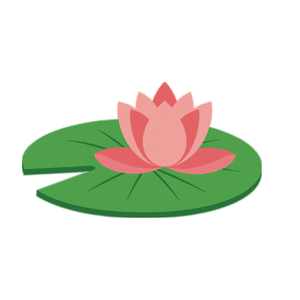 Lily pad