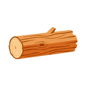Log | Forest Things Names for Kids in English