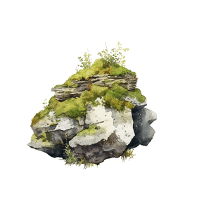 Moss | River Things Names for Kids in English