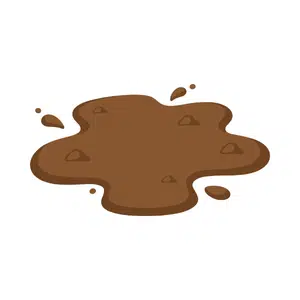 Mud | Forest Things Names for Kids in English
